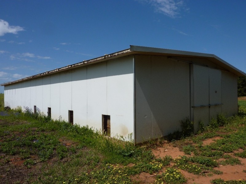 862 Gawnes Road, Grong Grong, Narrandera NSW 2700