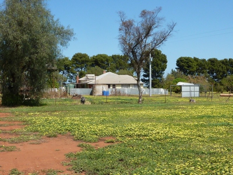 862 Gawnes Road, Grong Grong, Narrandera NSW 2700