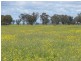 2327 Urana Road, Jindera NSW 2642