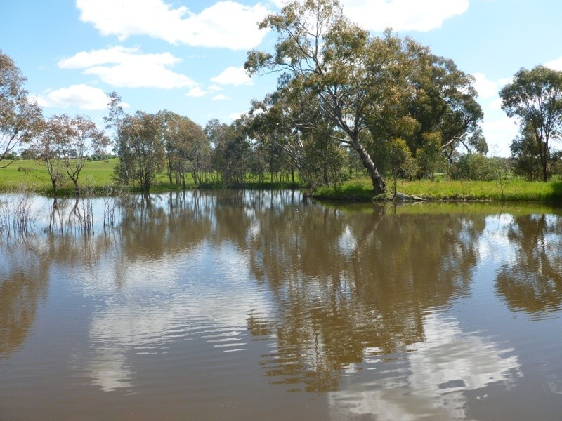 2327 Urana Road, Jindera NSW 2642