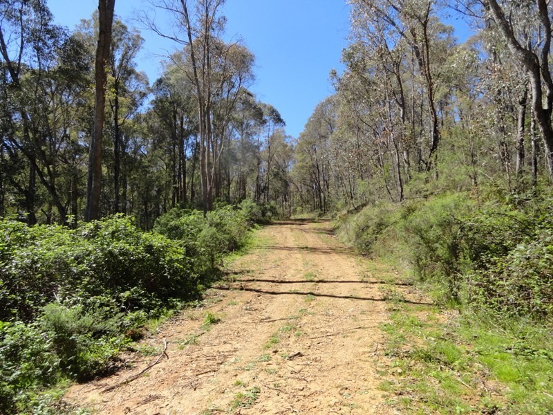 Lot 16A Chicks Track, Burrowye VIC 3709