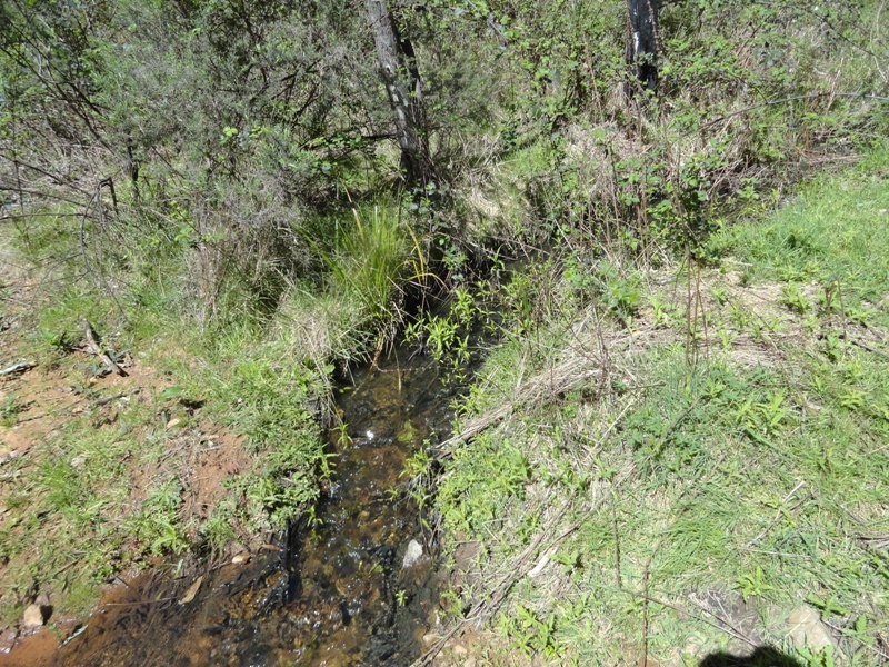 Lot 16A Chicks Track, Burrowye VIC 3709