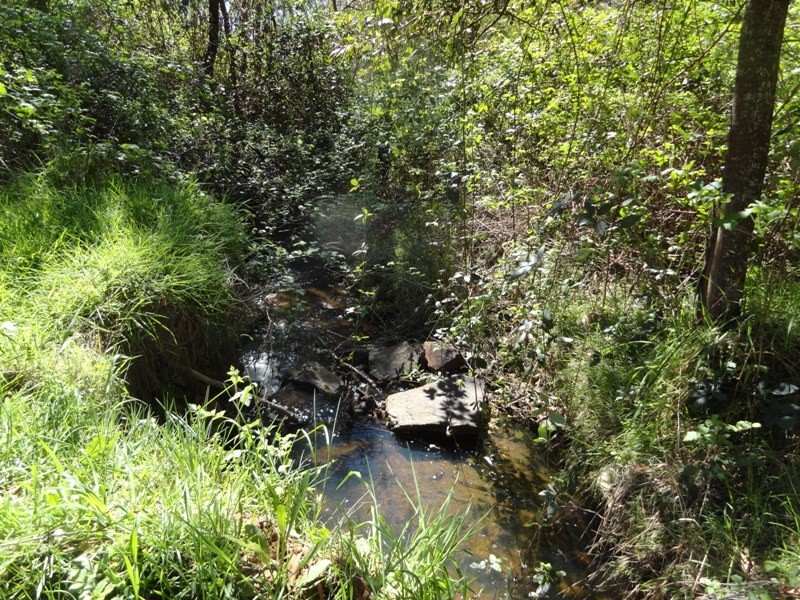 Lot 16A Chicks Track, Burrowye VIC 3709