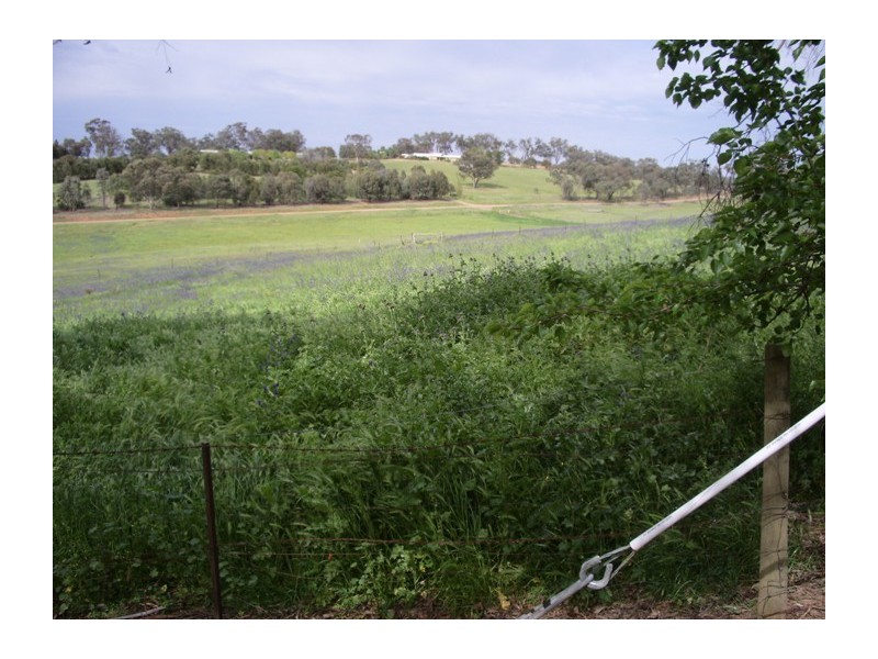 Valley View Netherleigh Lane, Cootamundra NSW 2590