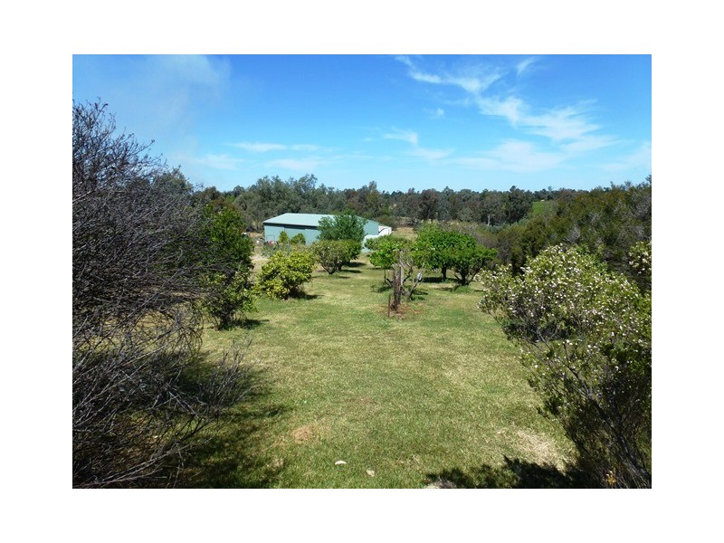 Farm 1034 Lovegrove Road, Coleambally NSW 2707