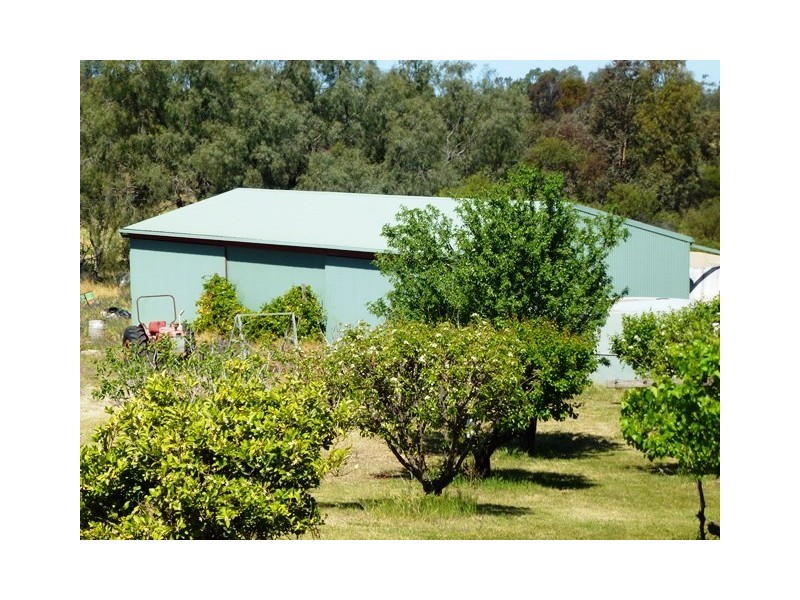 Farm 1034 Lovegrove Road, Coleambally NSW 2707