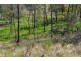 Lot 1, 38 Dredgehole Lane, Harrietville VIC 3741