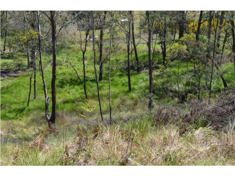 Lot 1, 38 Dredgehole Lane, Harrietville VIC 3741