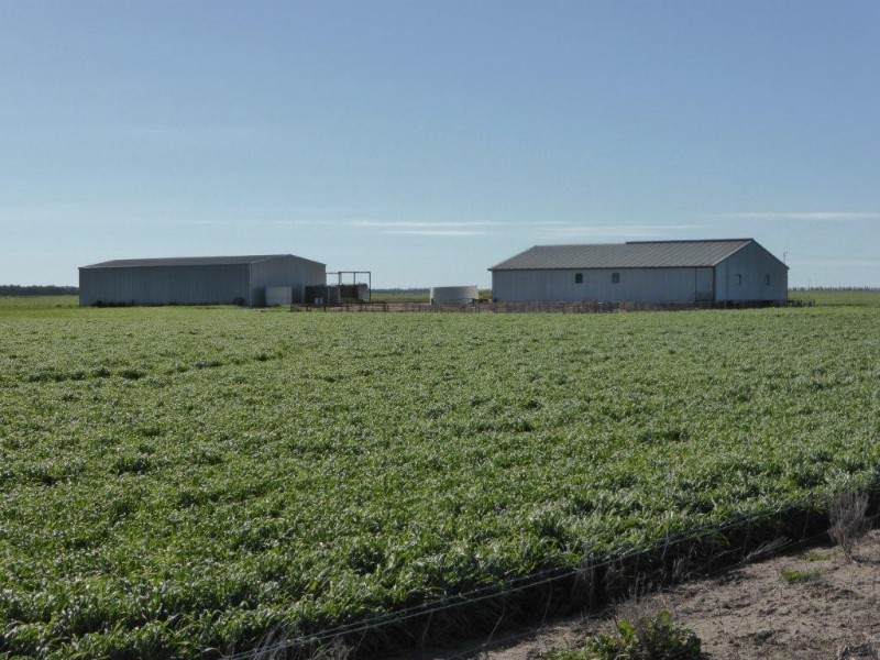 - Buncrana East, Jerilderie NSW 2716