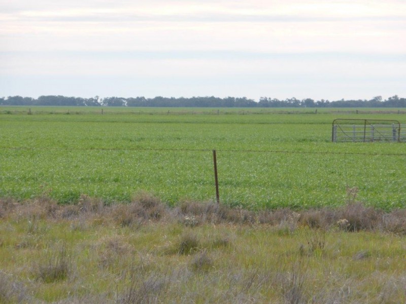 - Buncrana East, Jerilderie NSW 2716