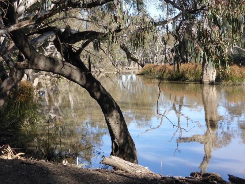 - Buncrana East, Jerilderie NSW 2716