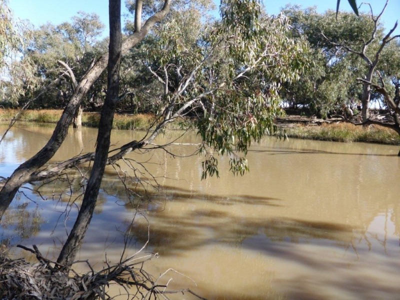 - Buncrana East, Jerilderie NSW 2716