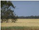 - Buncrana East, Jerilderie NSW 2716