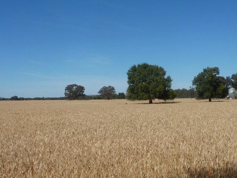 301 Hatwells  Road, Wagga Wagga NSW 2650