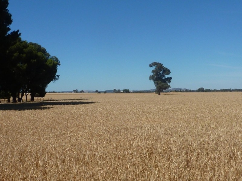 301 Hatwells  Road, Wagga Wagga NSW 2650