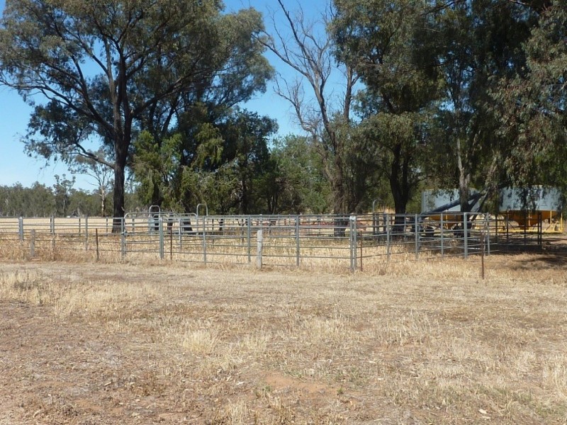 301 Hatwells  Road, Wagga Wagga NSW 2650