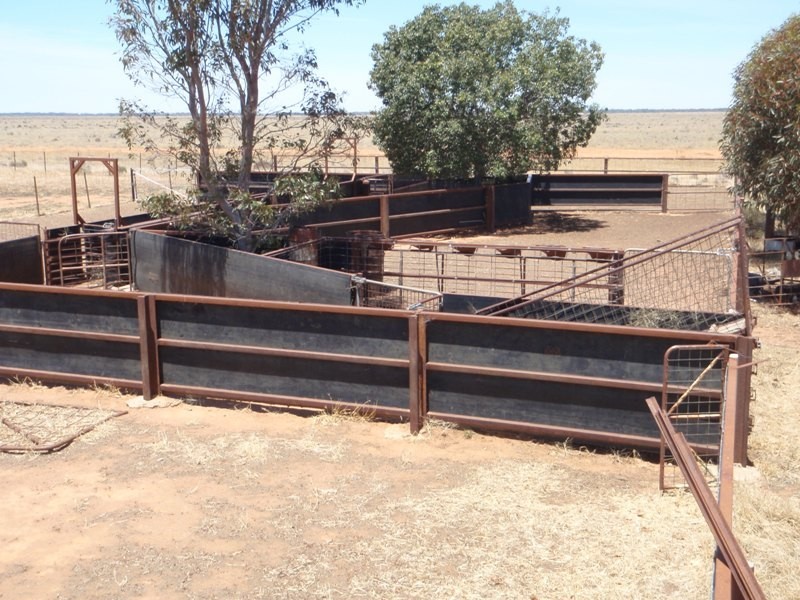 “Teddy Waddy” Newell Highway, Jerilderie NSW 2716
