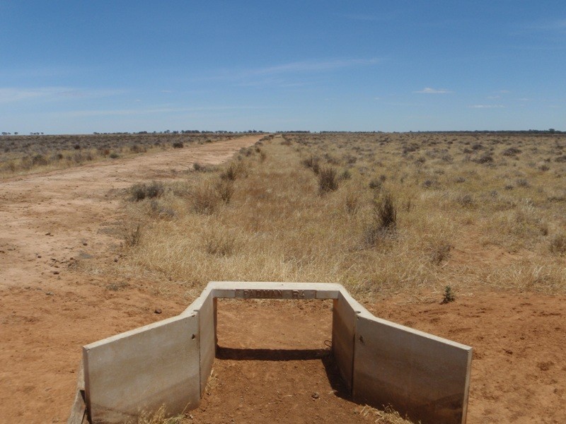 “Teddy Waddy” Newell Highway, Jerilderie NSW 2716