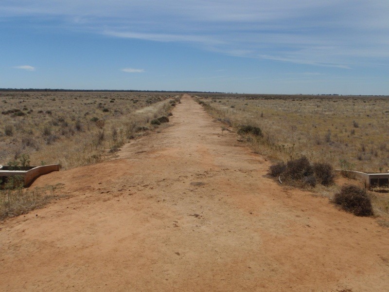 “Teddy Waddy” Newell Highway, Jerilderie NSW 2716