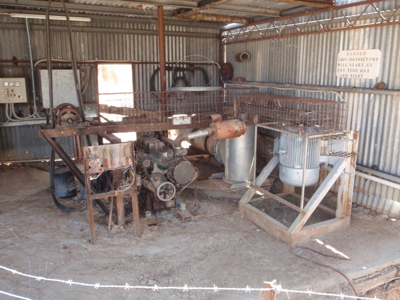 “Teddy Waddy” Newell Highway, Jerilderie NSW 2716