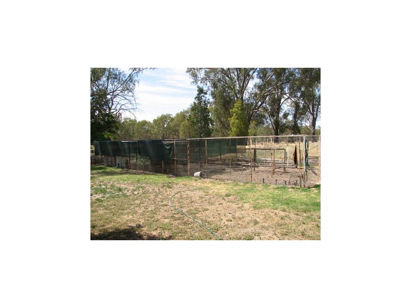 17 Townsend Street, Narrandera NSW 2700