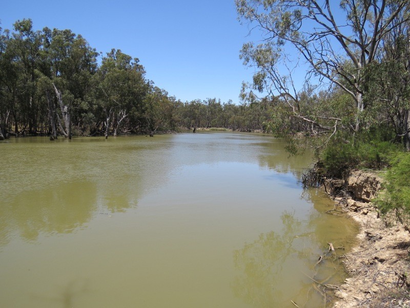 52 STEVENS WEIR ROAD, Deniliquin NSW 2710