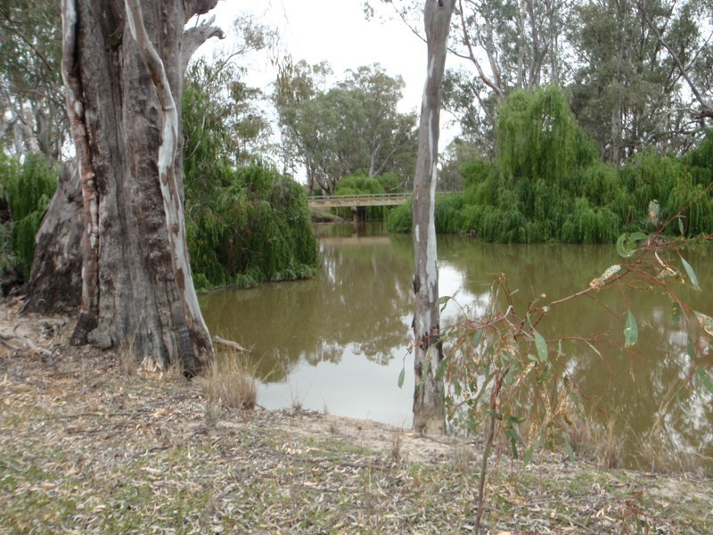 52 STEVENS WEIR ROAD, Deniliquin NSW 2710
