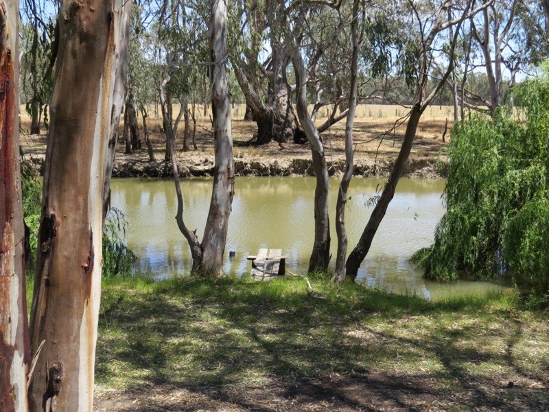 52 STEVENS WEIR ROAD, Deniliquin NSW 2710