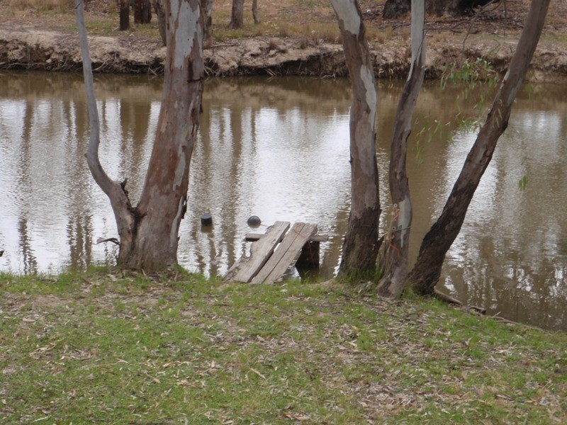 52 STEVENS WEIR ROAD, Deniliquin NSW 2710