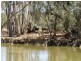52 STEVENS WEIR ROAD, Deniliquin NSW 2710