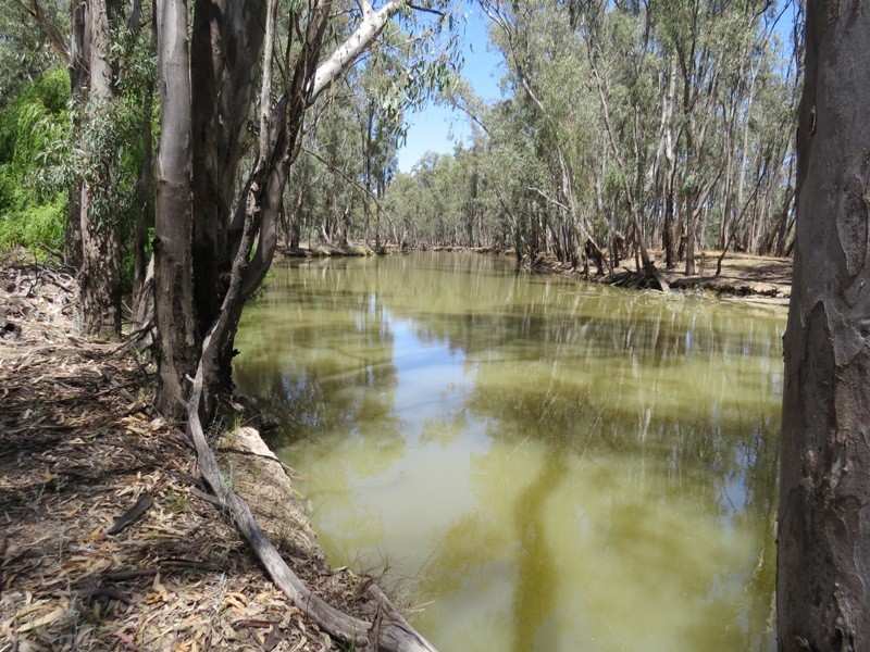 52 STEVENS WEIR ROAD, Deniliquin NSW 2710