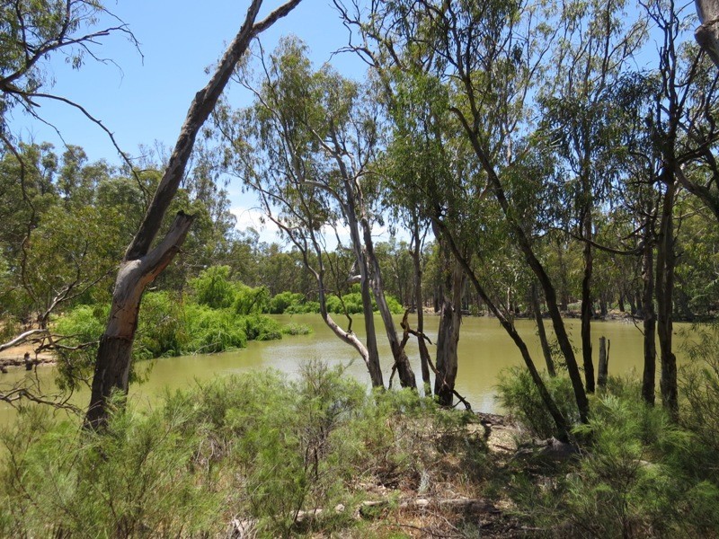 52 STEVENS WEIR ROAD, Deniliquin NSW 2710