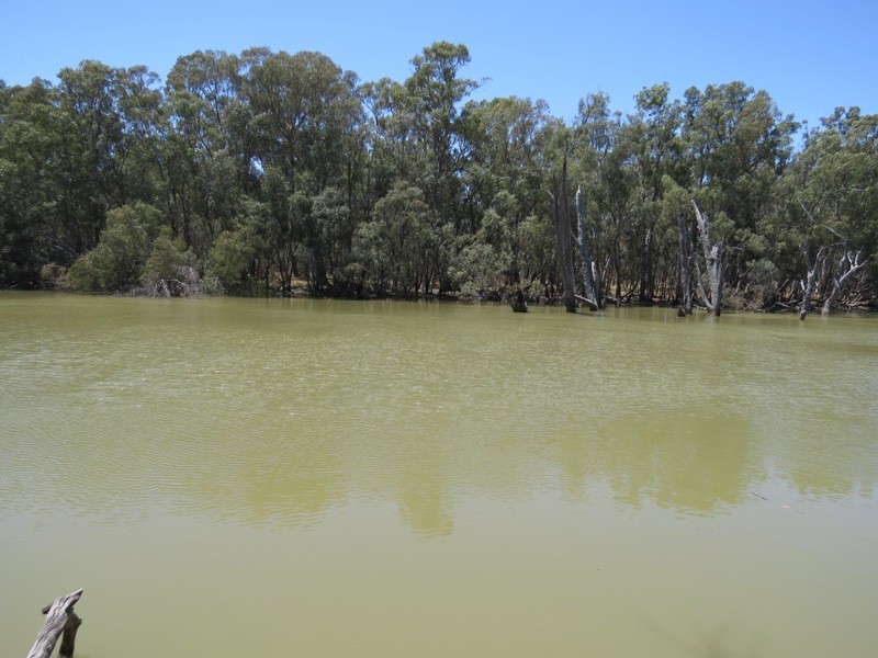 52 STEVENS WEIR ROAD, Deniliquin NSW 2710