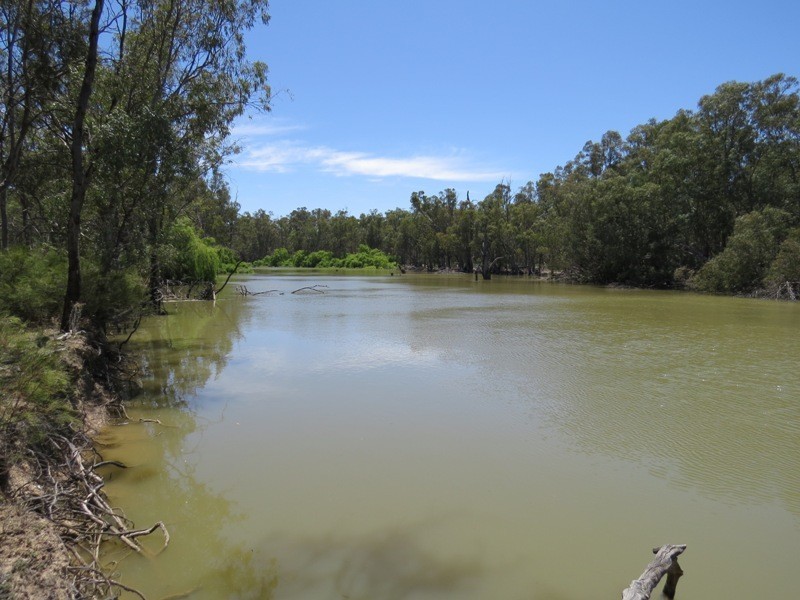 52 STEVENS WEIR ROAD, Deniliquin NSW 2710