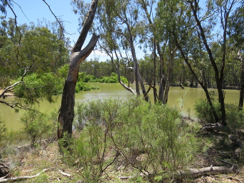 52 STEVENS WEIR ROAD, Deniliquin NSW 2710