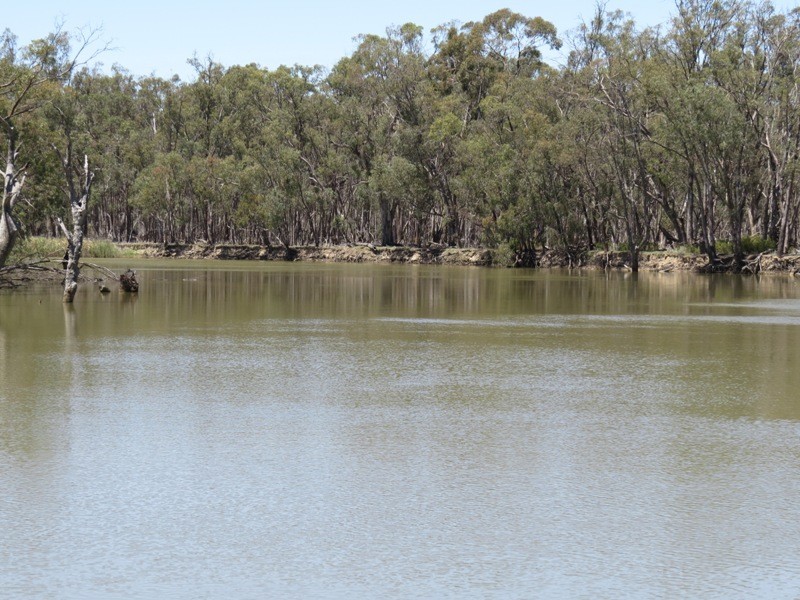 52 STEVENS WEIR ROAD, Deniliquin NSW 2710