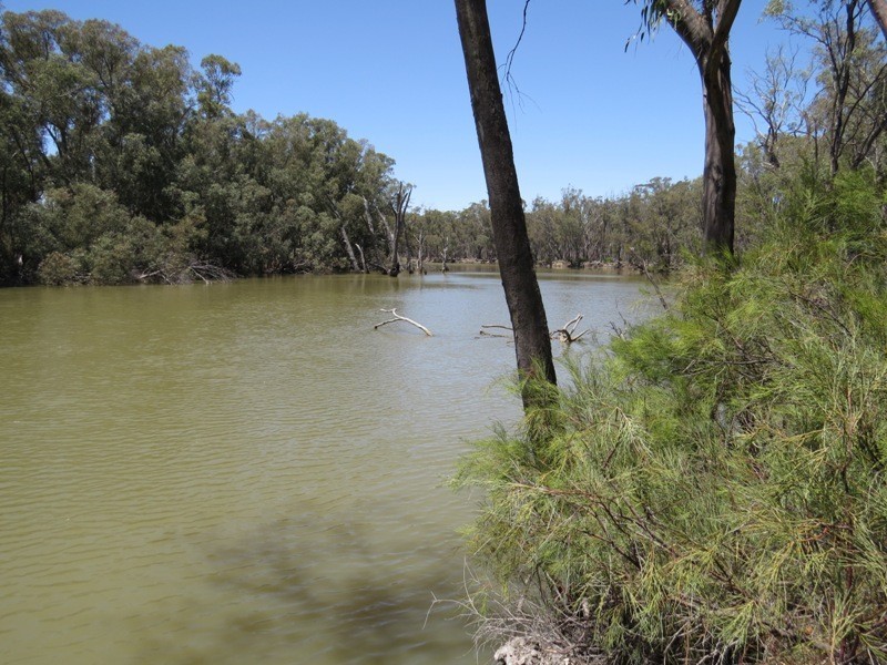 52 STEVENS WEIR ROAD, Deniliquin NSW 2710