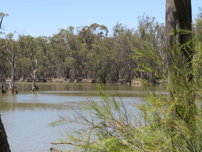 52 STEVENS WEIR ROAD, Deniliquin NSW 2710