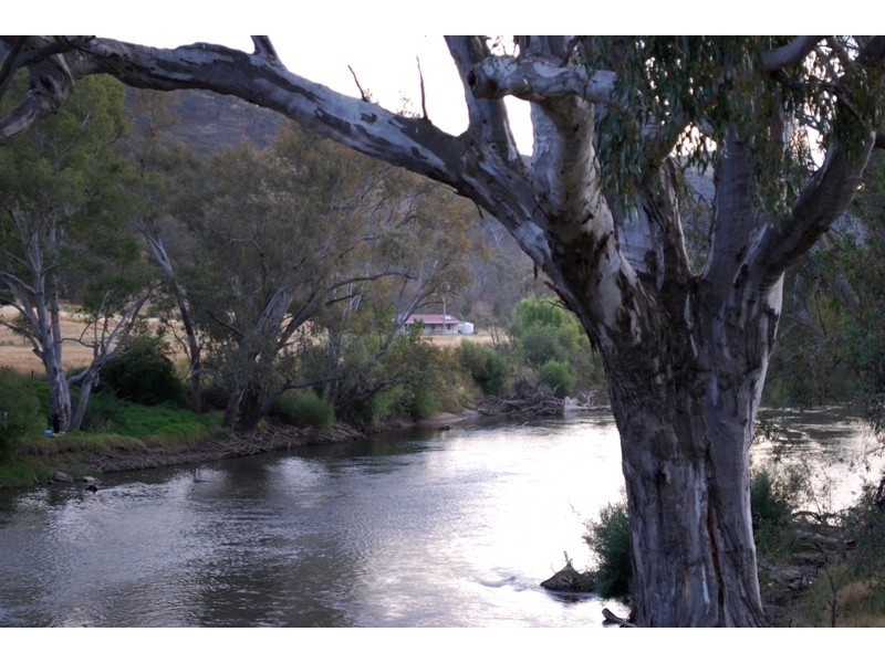“Little Bank” 8547 Murray River Road, Walwa VIC 3709
