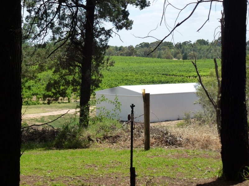 - ‘Chinchilla Ridge’, Coleambally NSW 2707