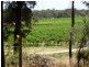 - ‘Chinchilla Ridge’, Coleambally NSW 2707