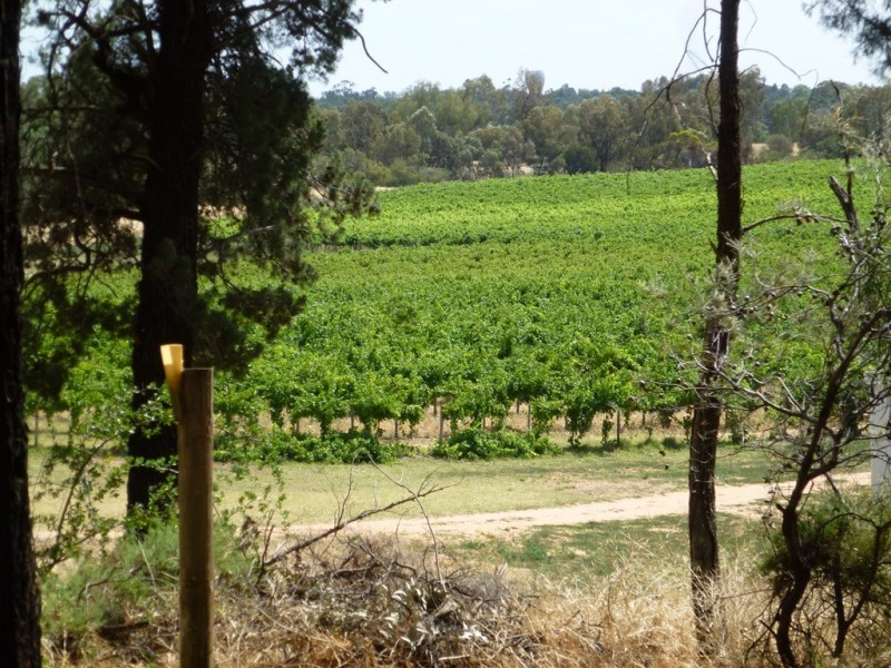 - ‘Chinchilla Ridge’, Coleambally NSW 2707