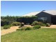 181 CARTWRIGHTS LANE, Wagga Wagga NSW 2650
