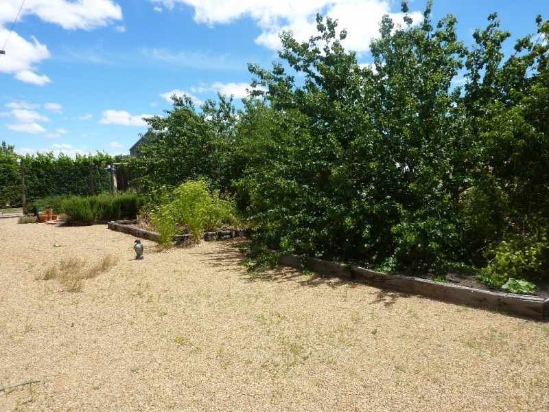 181 CARTWRIGHTS LANE, Wagga Wagga NSW 2650