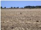 - Farm 580, Coleambally NSW 2707