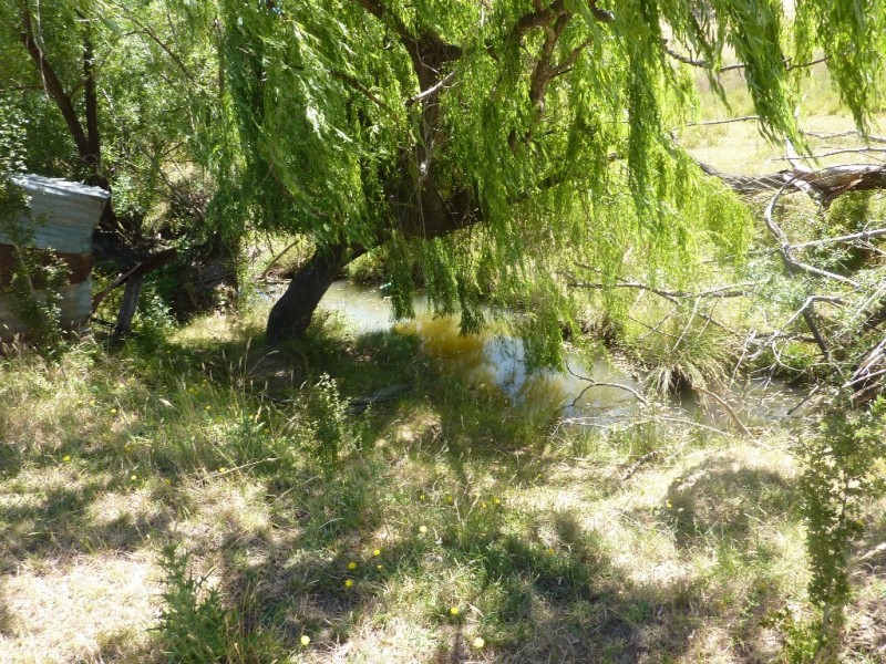 1 Walker Humula via, Wagga Wagga NSW 2650