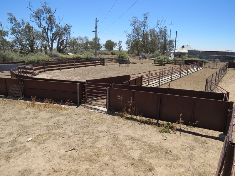 “Kempsey” Maude Road, Hay NSW 2711