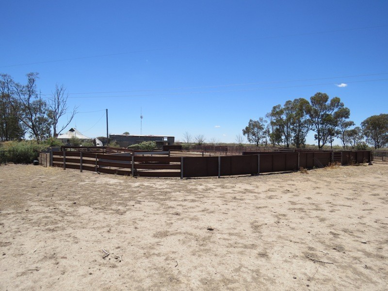 “Kempsey” Maude Road, Hay NSW 2711