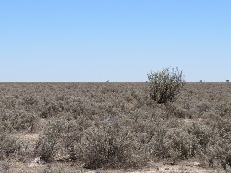 “Kempsey” Maude Road, Hay NSW 2711