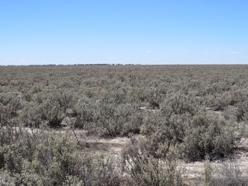 “Kempsey” Maude Road, Hay NSW 2711